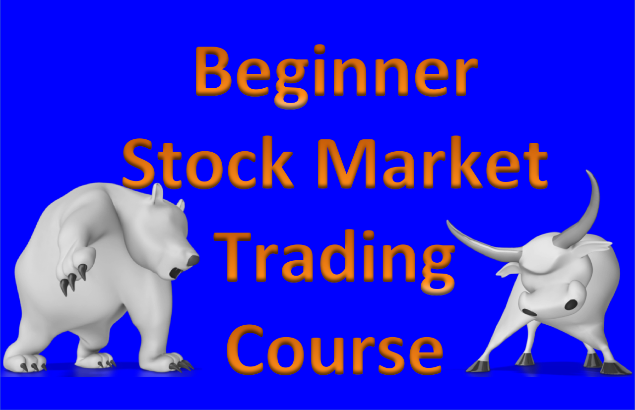beginner stock market training