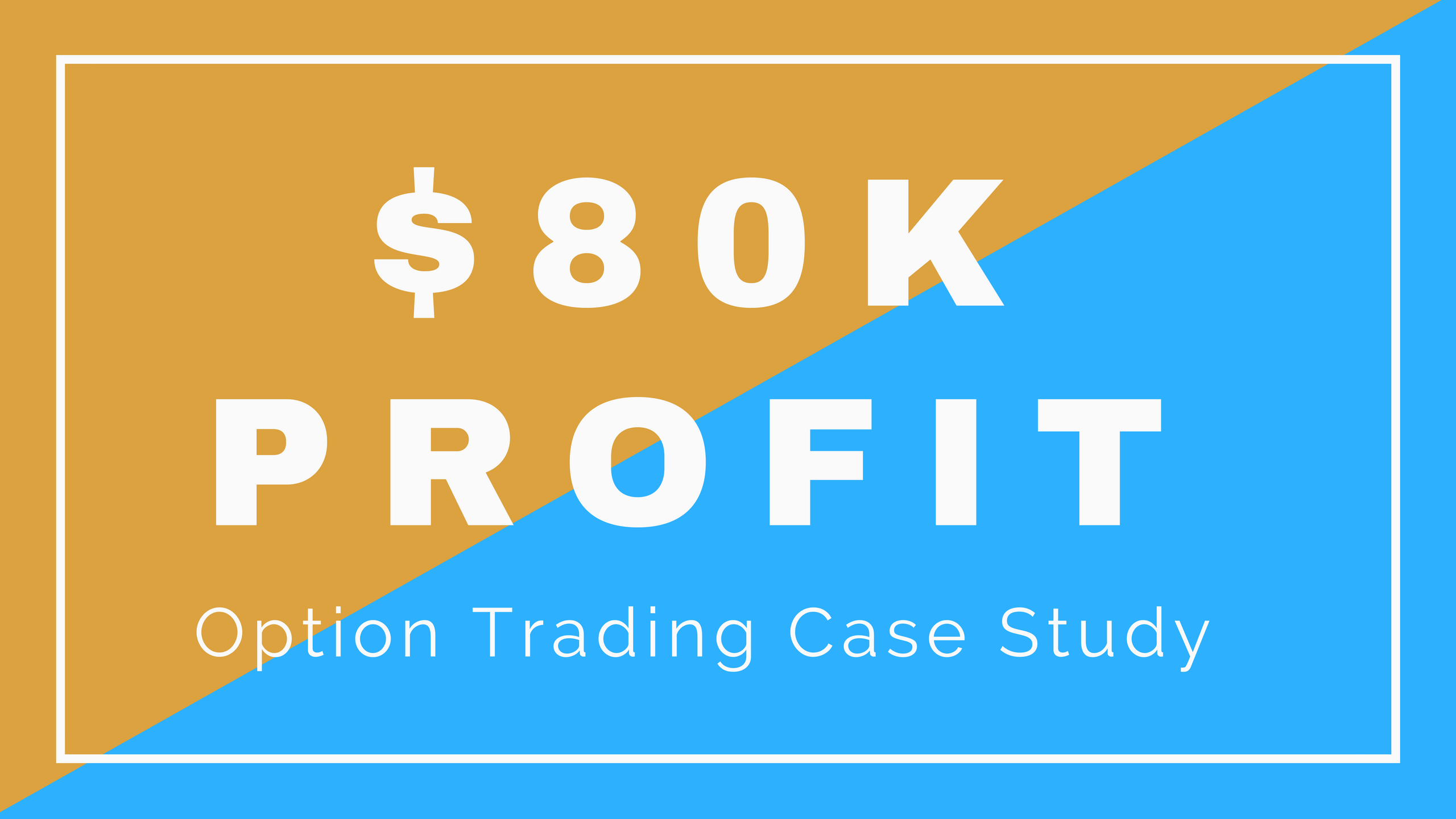 $80K Profit in 2 Months Case Study
